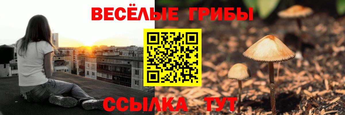 Псилоцибиновые грибы мухоморы Кушва